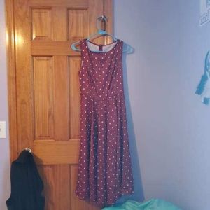 Polka dot dress brand new